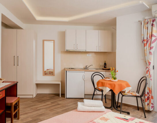 Single-room apartment for 2 persons
