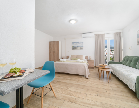 Single-room apartment for 2-3 persons